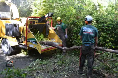 tree services Eatonton